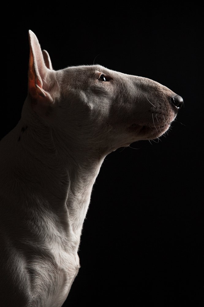 Photograph by Viktoria Baranova