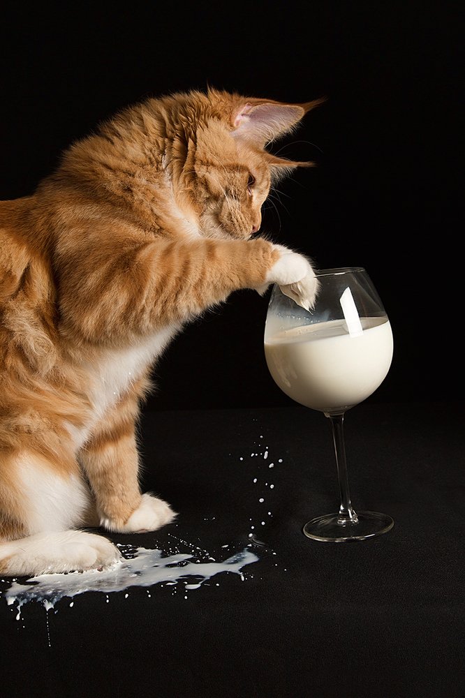 Photograph by Viktoria Baranova