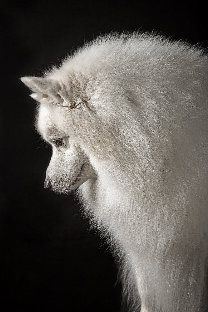 Photograph by Viktoria Baranova