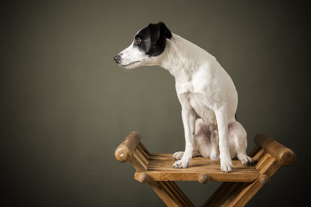 Photograph by Viktoria Baranova