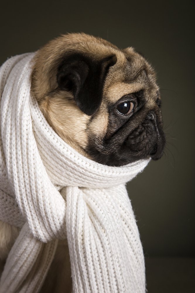 Photograph by Viktoria Baranova