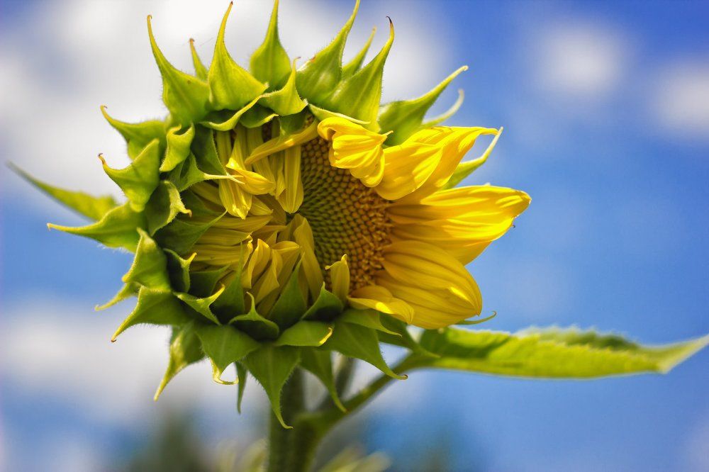 Photograph by Маргарита Сидорук