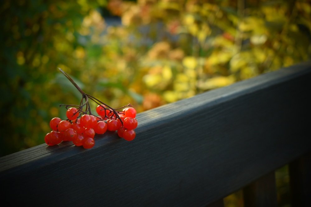 Photograph by Татьяна Медведева