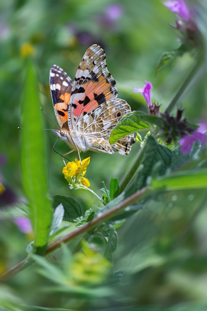 Photograph by Юрий Котов