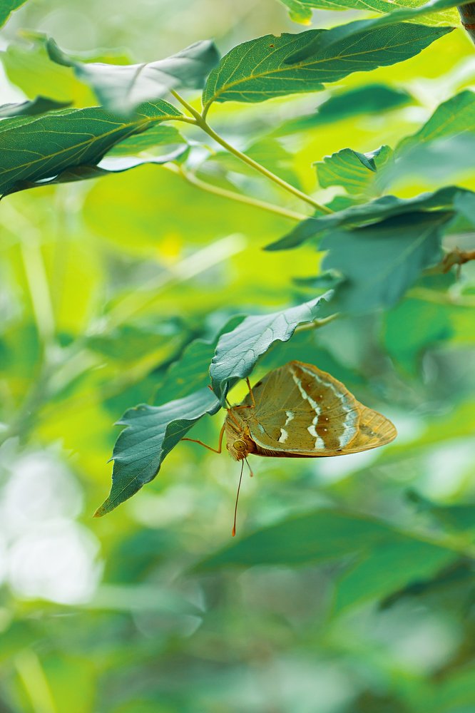 Photograph by Юрий Котов