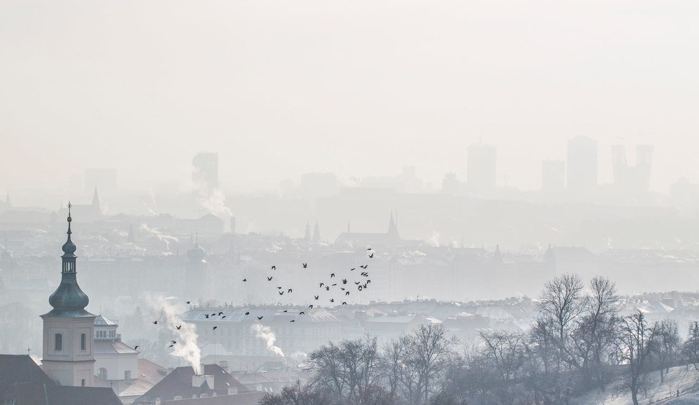 Фотография автора Филиппов Дмитрий