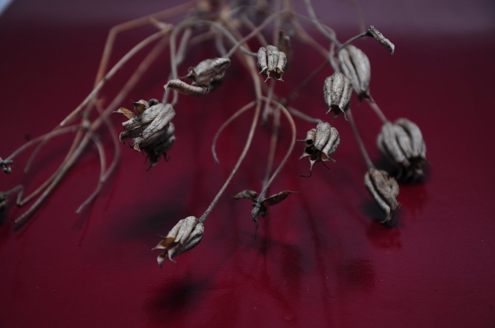 Photograph by Татьяна Маринич