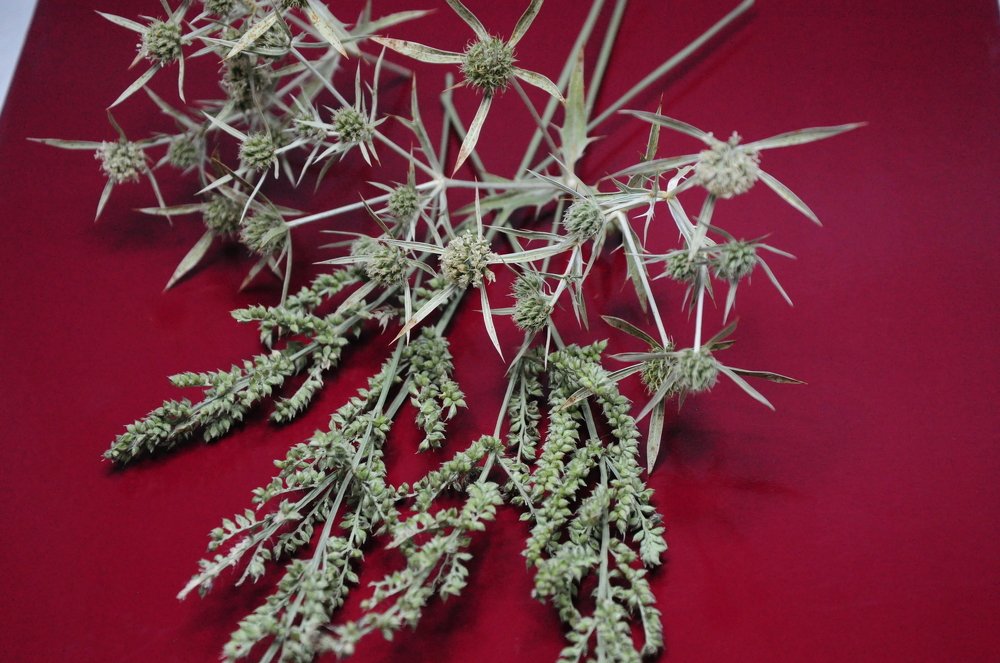 Photograph by Татьяна Маринич