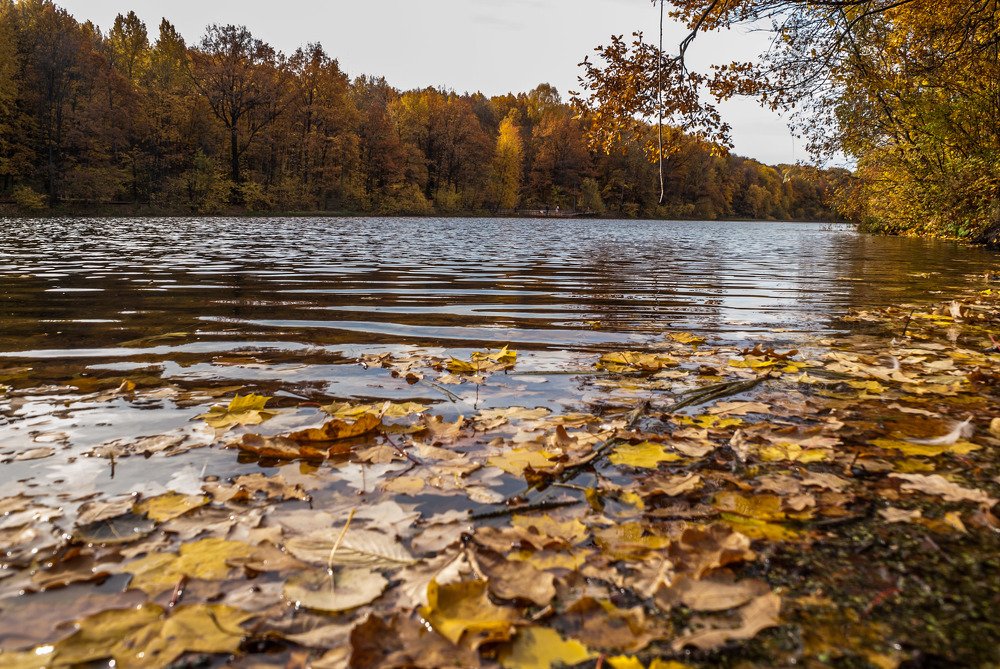 Photograph by Виктор Поверенов