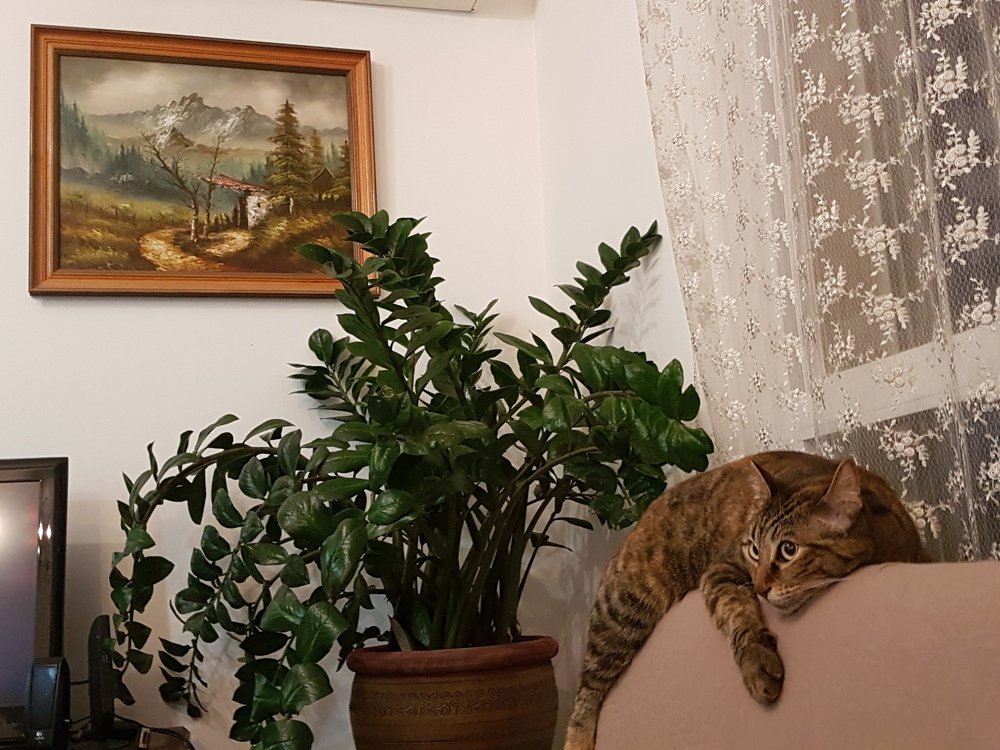 Photograph by Ирина Козлова