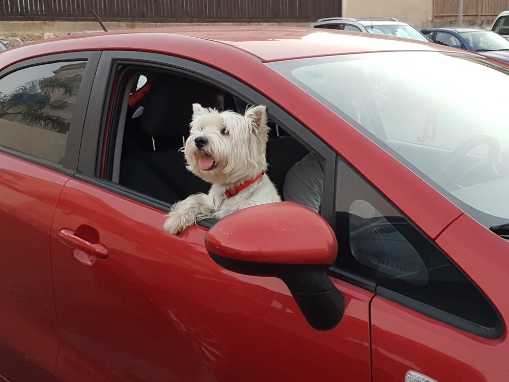 Photograph by Ирина Козлова