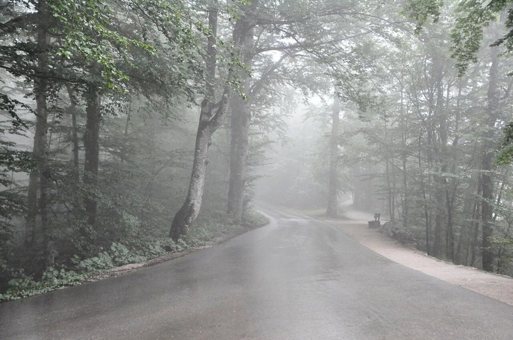 Photograph by Дарья Колбина