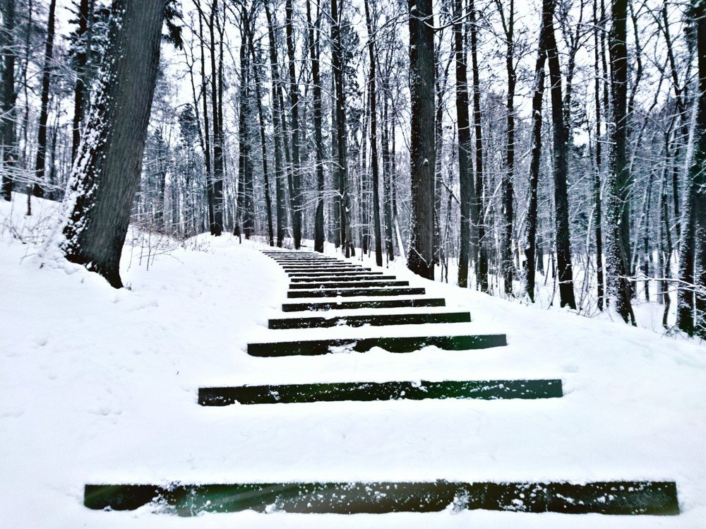 Photograph by Дарья Колбина