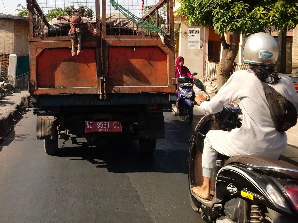 Photo #3697146