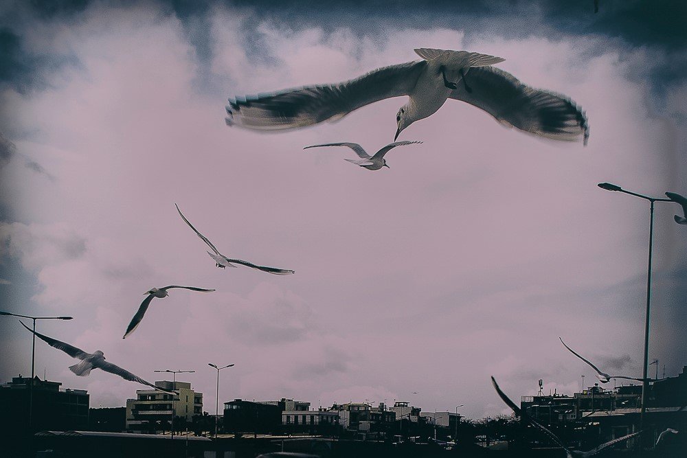 Photograph by Antonis Giakoumakis