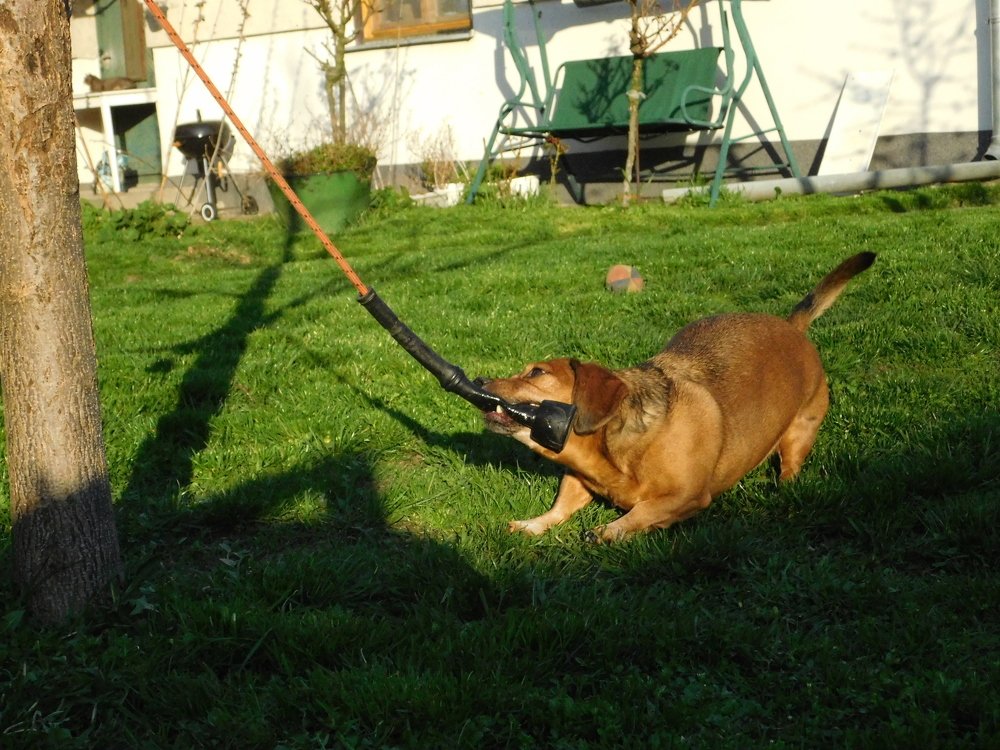 Photograph by Margit Nagy