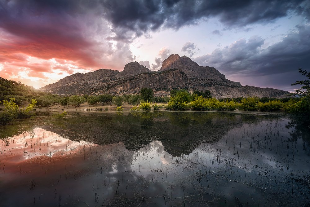 Photograph by ali gorohi