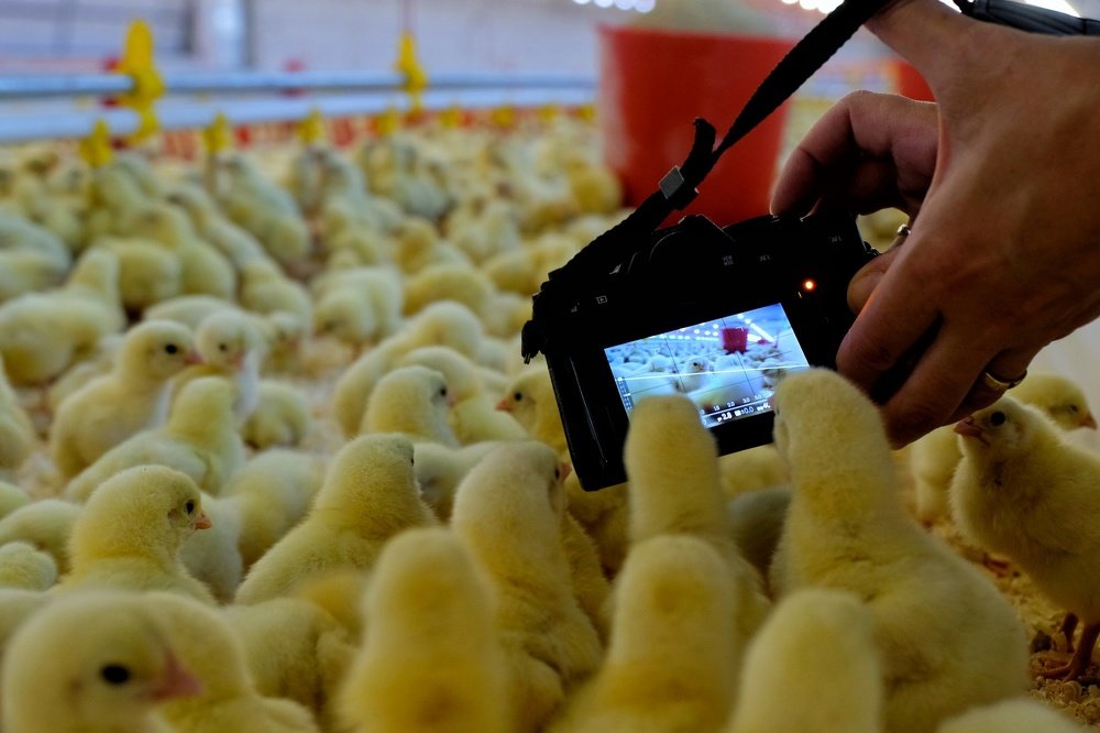 Photograph by Ercan Ozturk