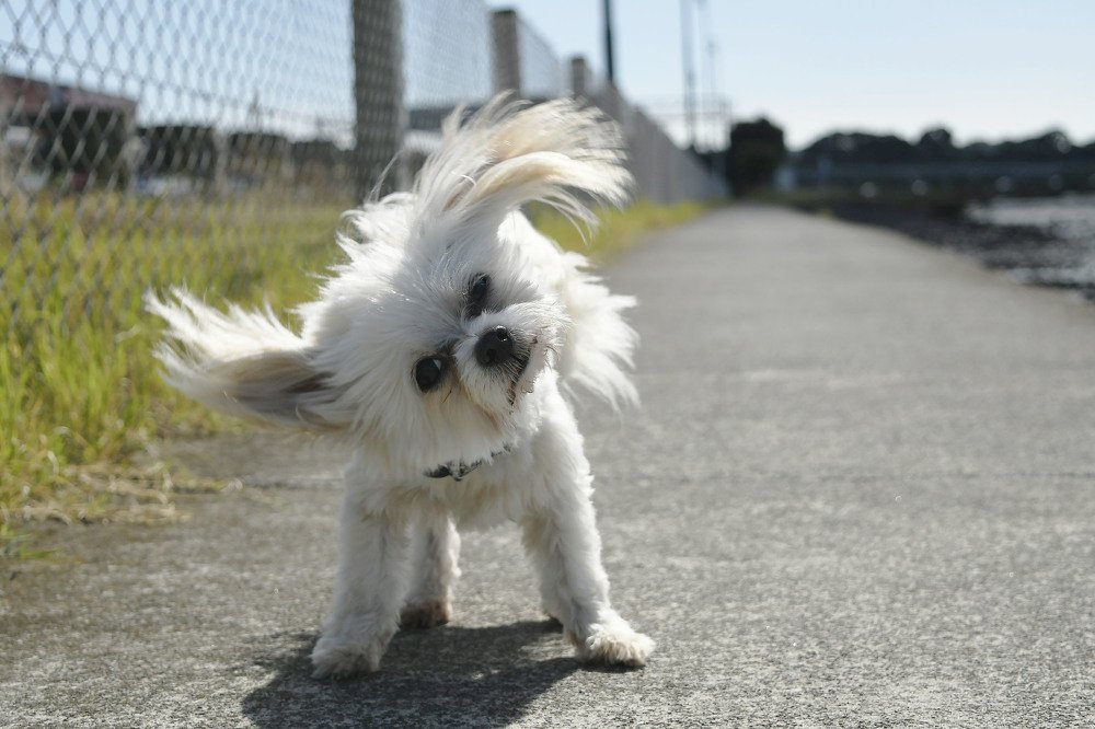 Photograph by Kelly Vivian