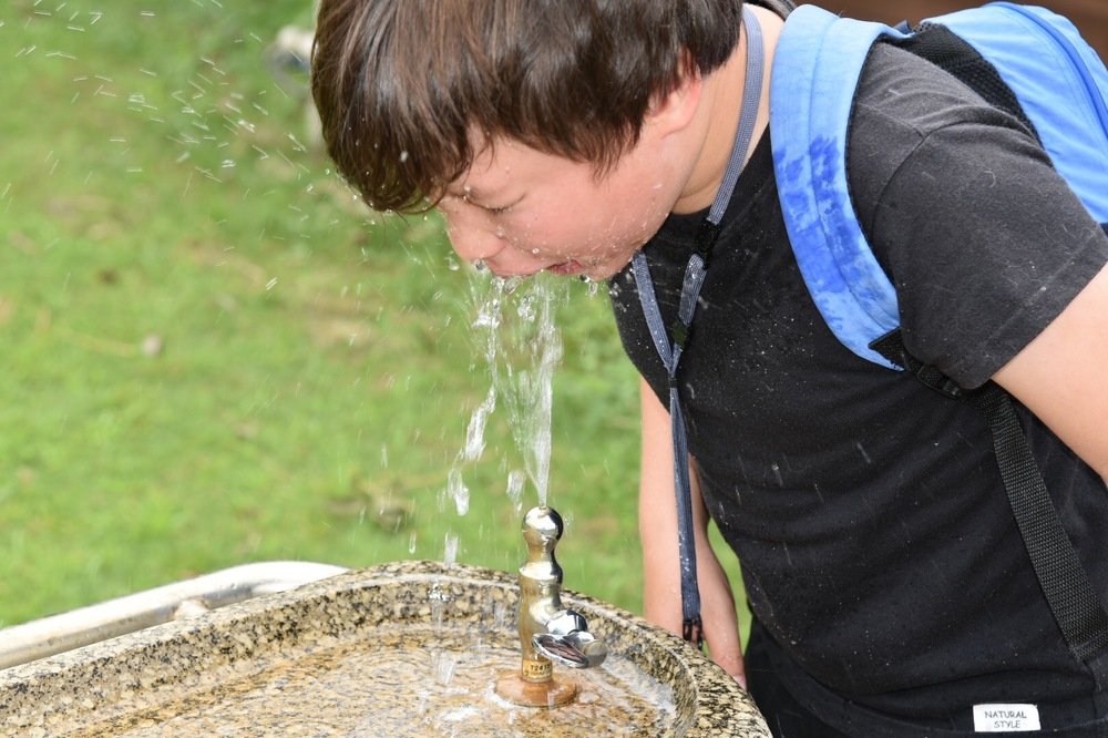 Photograph by Nesterova Svetlana