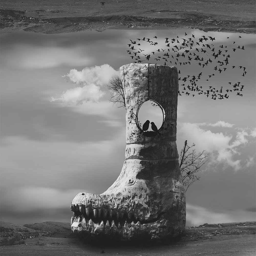 Photograph by  barbad