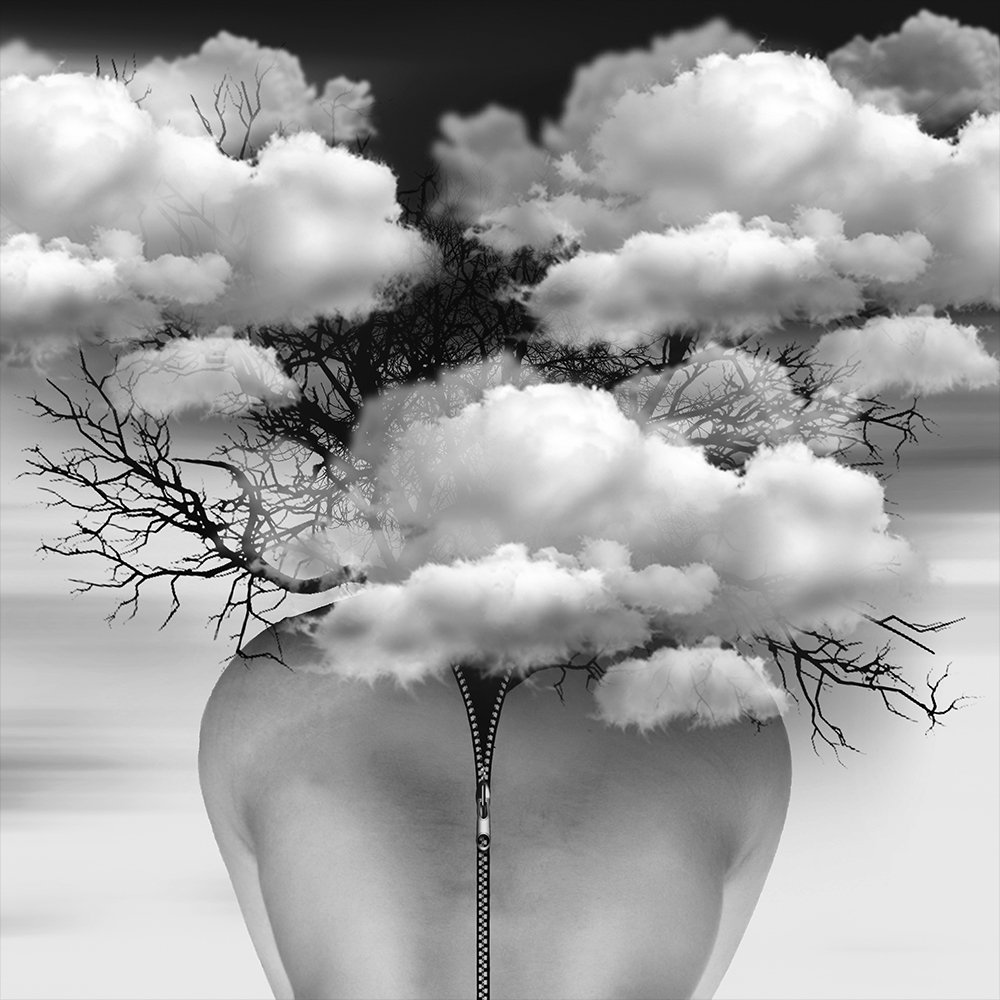 Photograph by  barbad