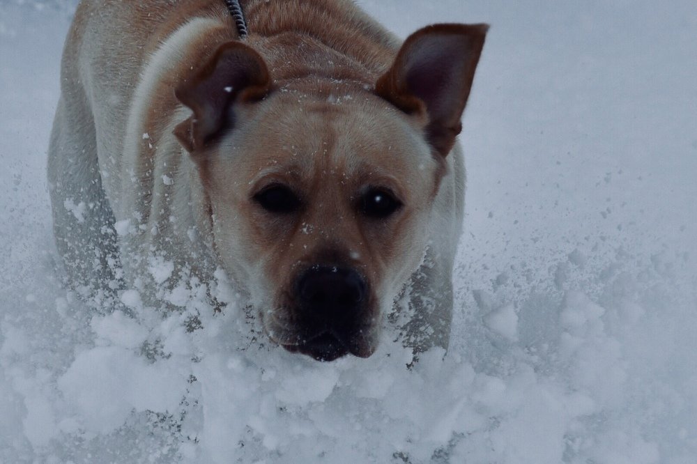 Photograph by Nesterova Svetlana