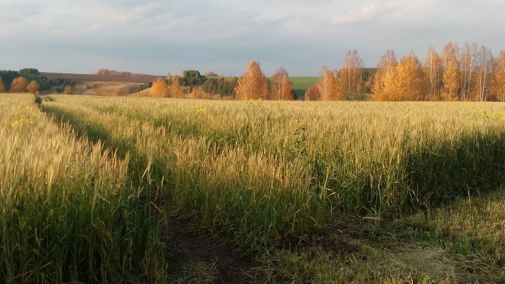 Photograph by Надежда Колеватова