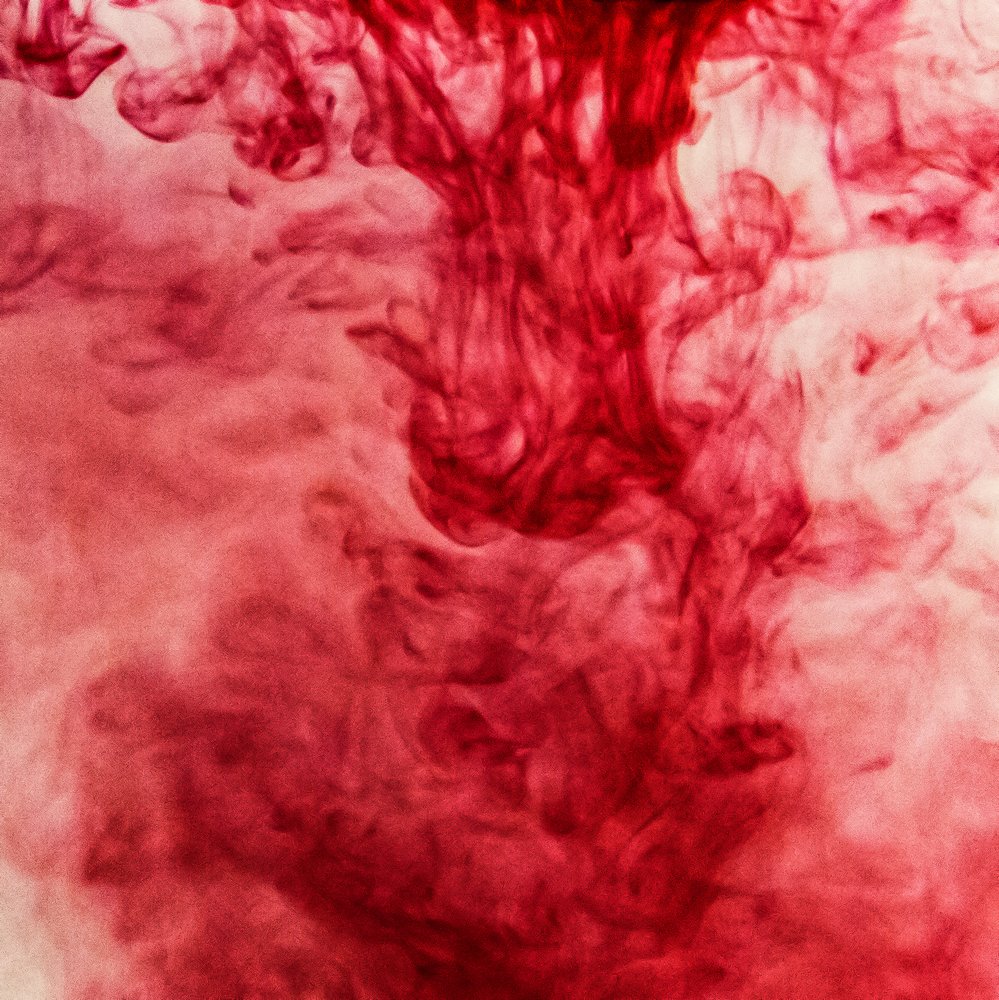 Photograph by Wojciech Grzegorczyk