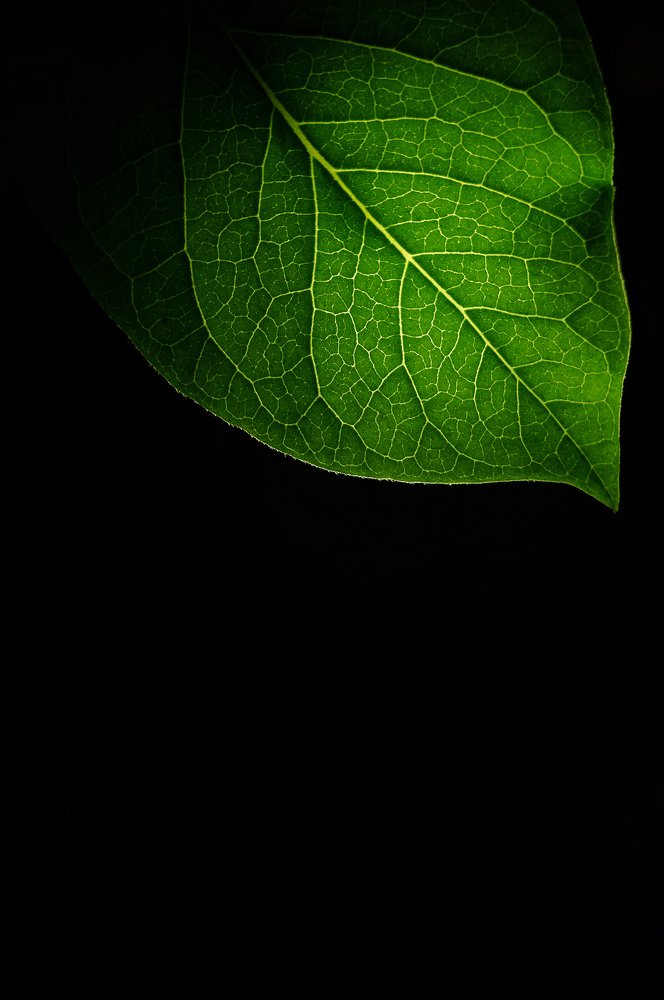 Photograph by Marina Kuzminykh