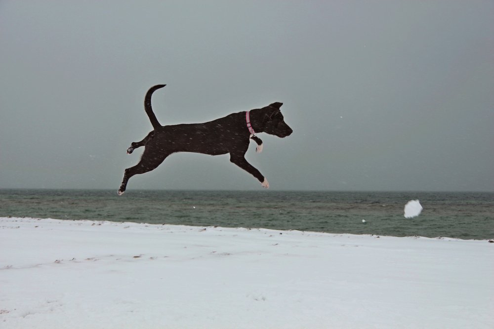 Photograph by света хлевненко