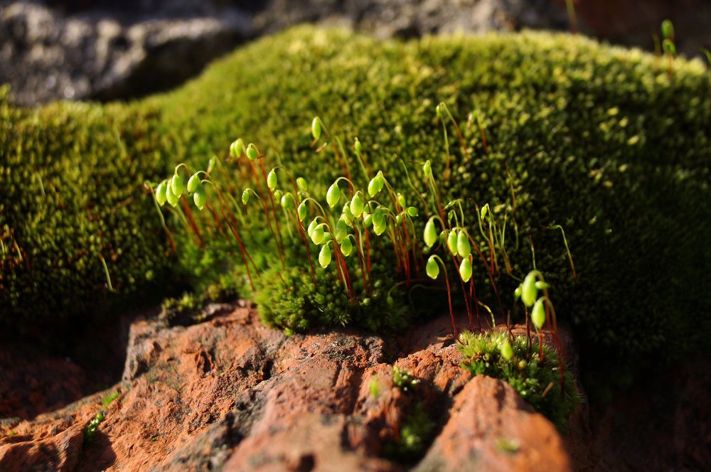 Photograph by Marina Kuzminykh