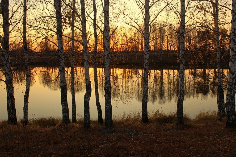 Photograph by 