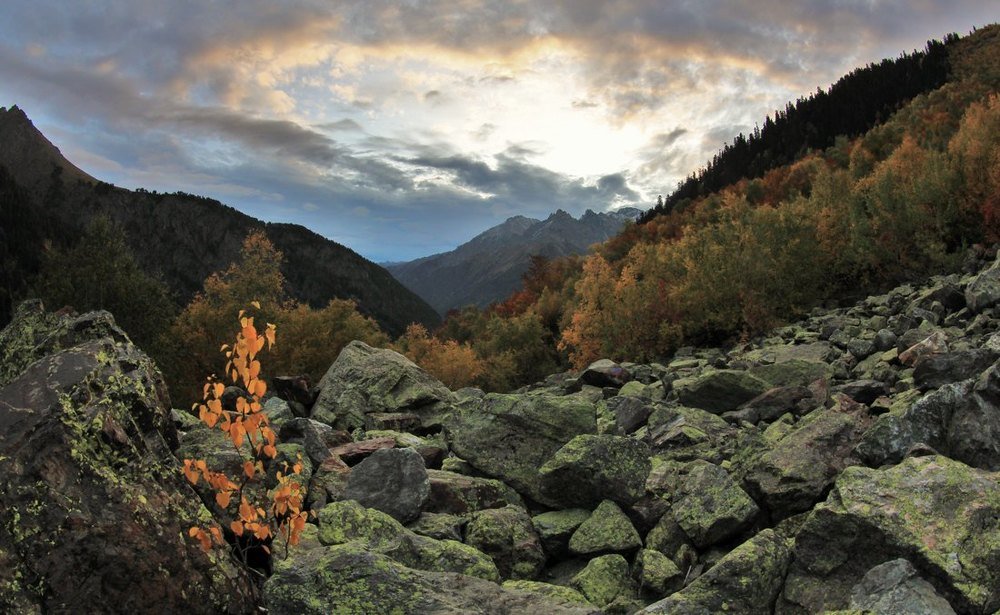 Photograph by Павел Васильев