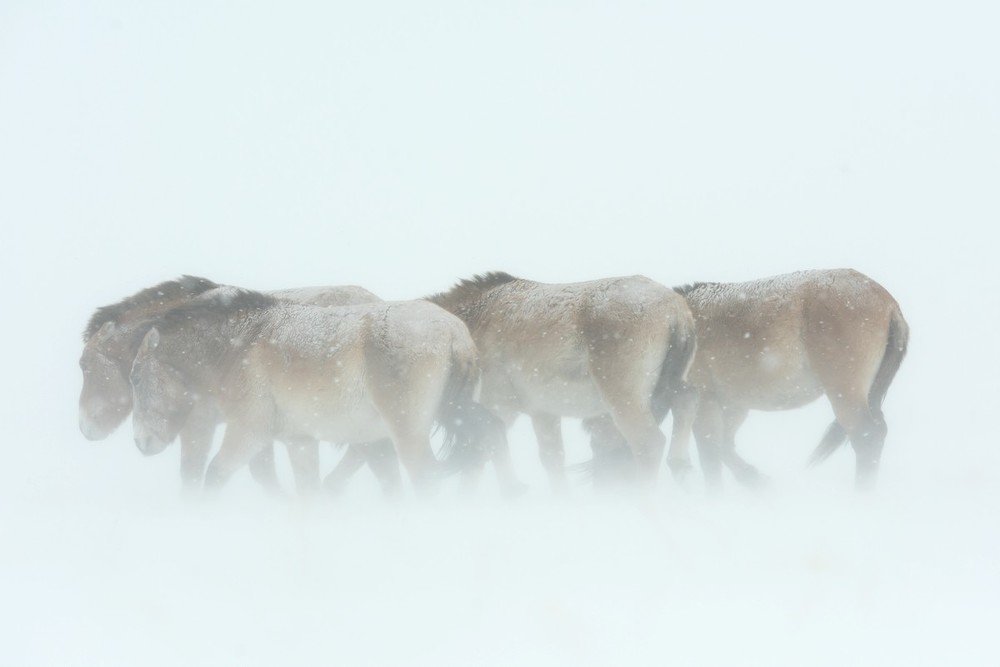 Photograph by Наталия