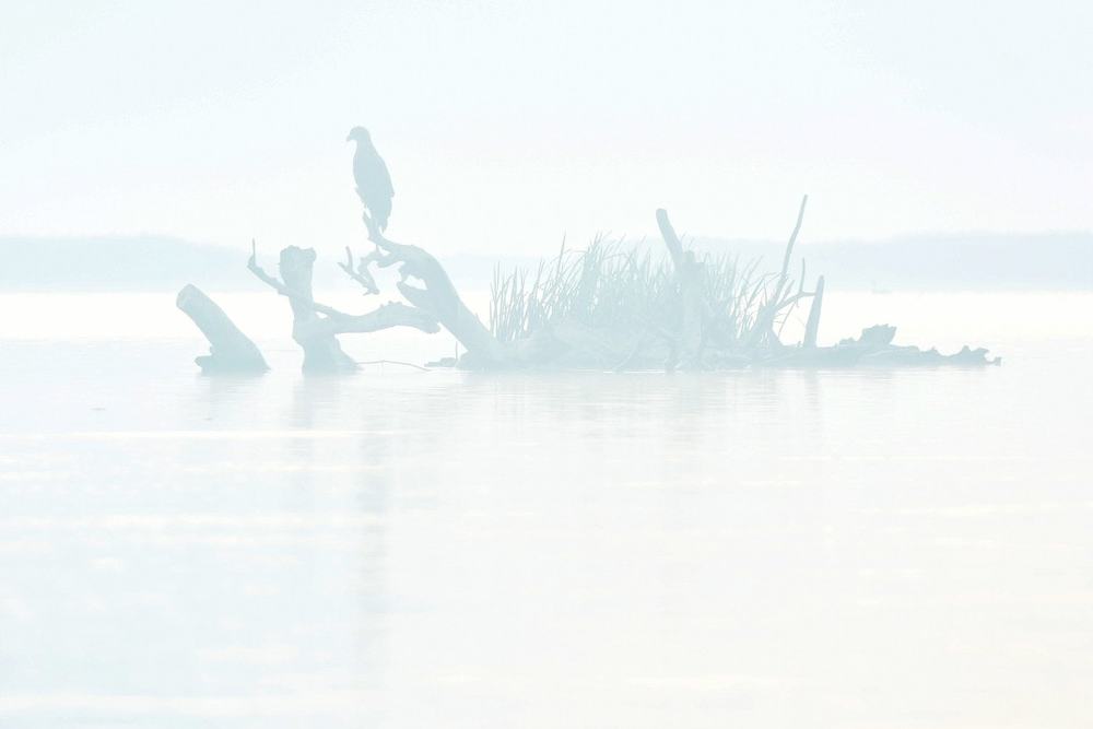 Photograph by Наталия