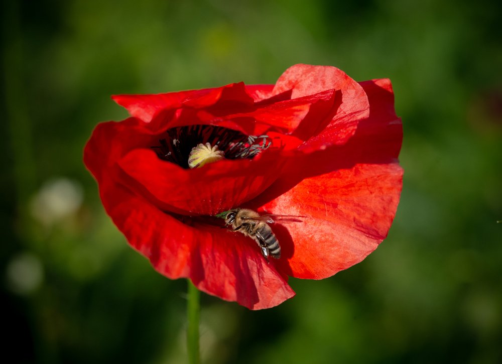 Photograph by Iuliana Luca