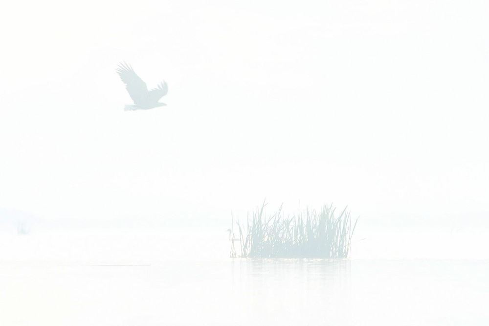 Photograph by Наталия