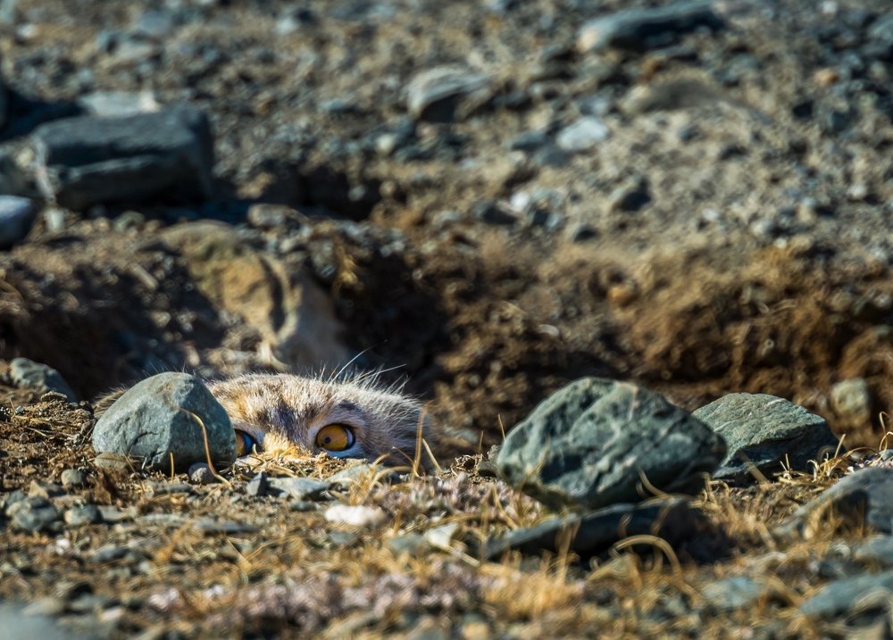 Photograph by Наталия