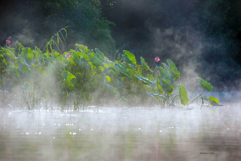 Photograph by Наталия