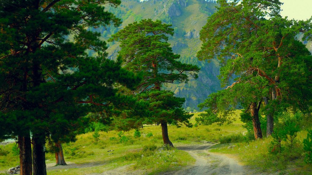 Фотография автора Александр Медведев