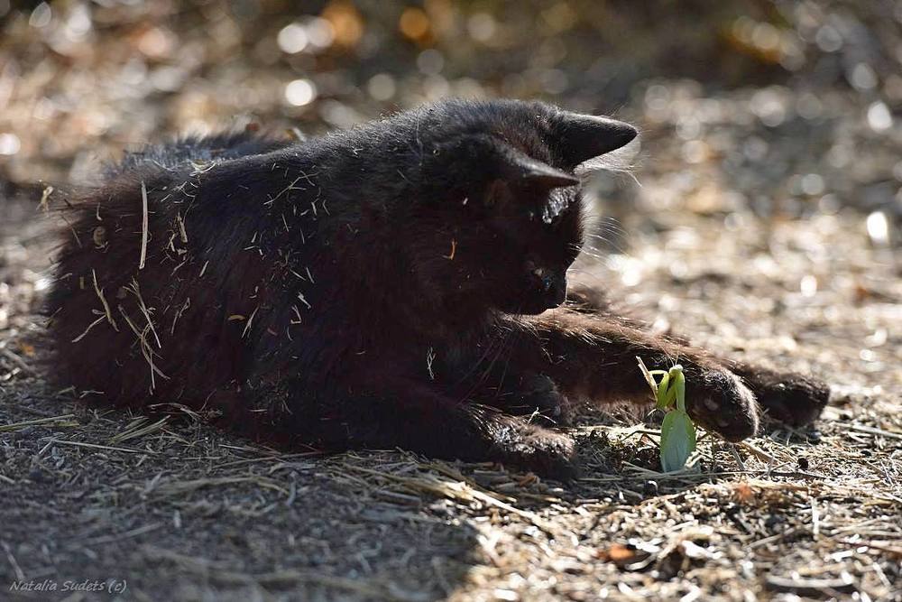 Photograph by Наталия