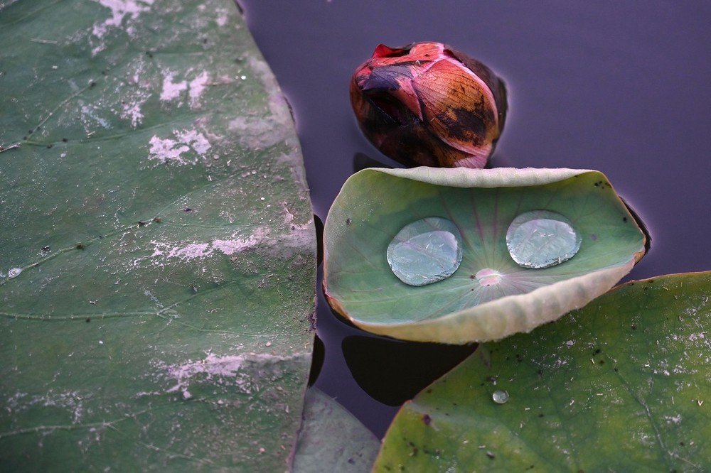 Photograph by Наталия