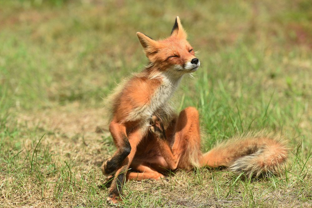 Не снимайте - я стесняюсь!