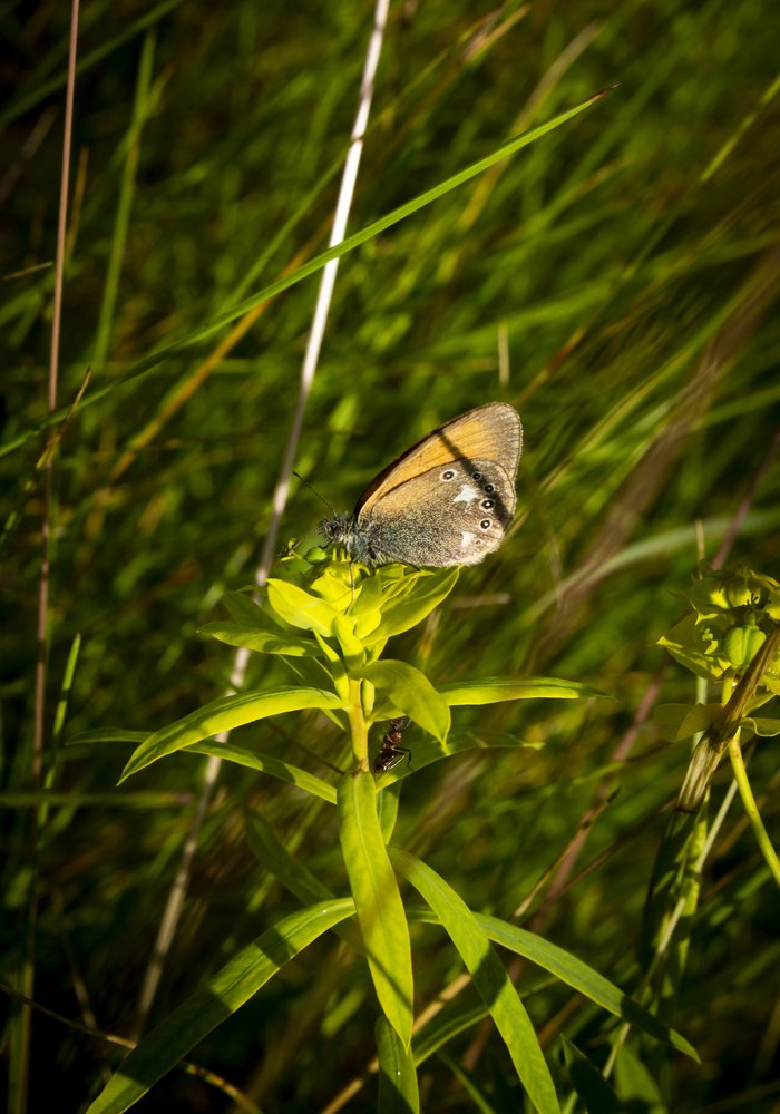Photograph by Сергей Захаров