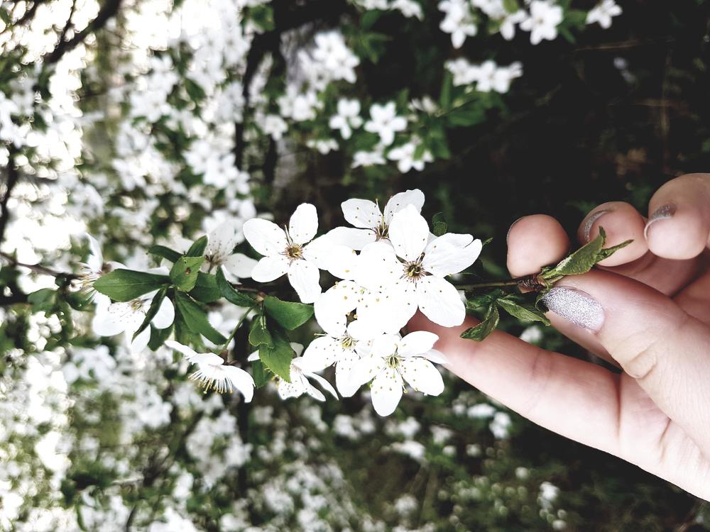 Photograph by Екатерина Гончарова