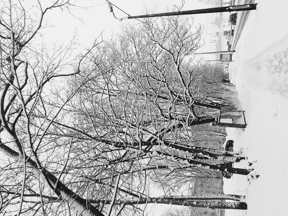 Photograph by Екатерина Гончарова