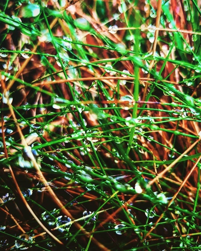Photograph by Екатерина Гончарова