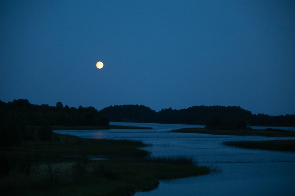Фотография автора Анастасия Лившиц