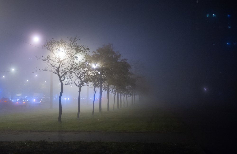 Photograph by Анастасия Ломаева